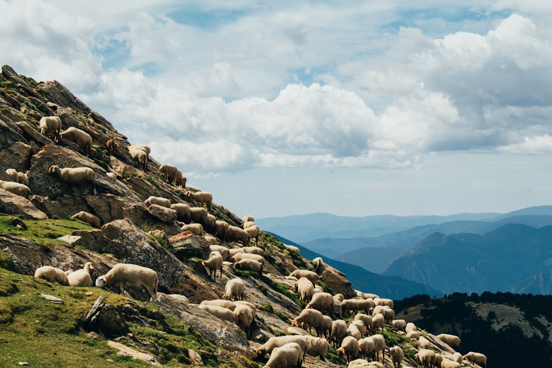 Unleashing Your Inner Explorer: The Thrill of Outdoor Adventures